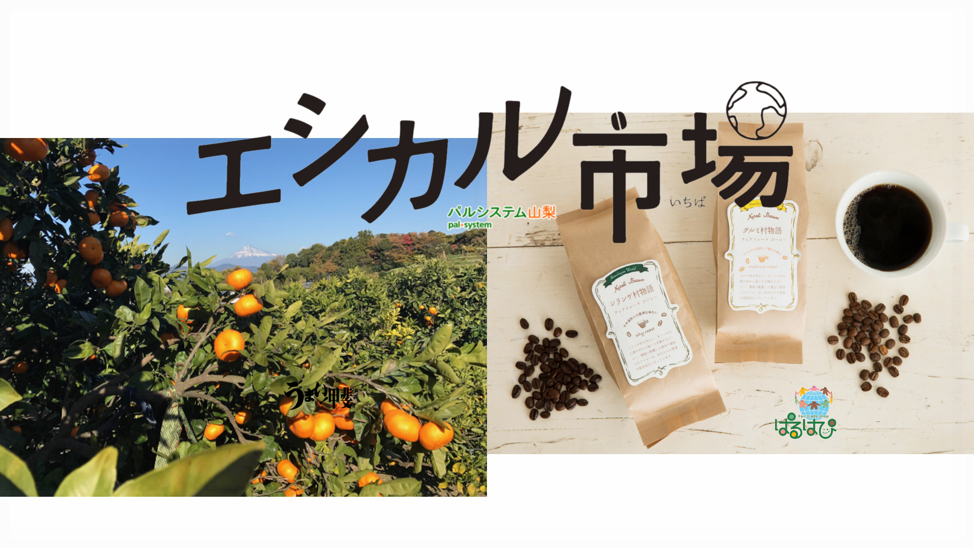 生活協同組合パルシステム山梨|生協・山梨・COOP 山梨で生協(COOP・COOP)といえば地域に根ざし、環境にやさしい生活協同組合パル
