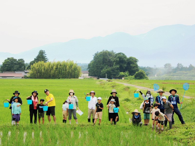 田んぼの生き物調査 @ 高根 農村環境改善センター | 北杜市 | 山梨県 | 日本